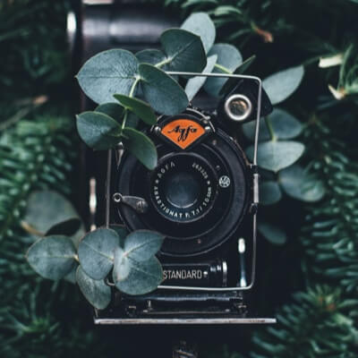 Old, retro camera positioned towards you, decorated with the green leaves